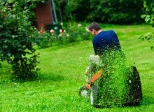 Kwikfynd Lawn Mowing
quiera