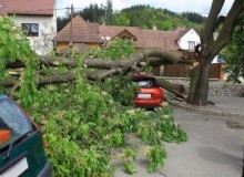 Kwikfynd Tree Cutting Services
quiera