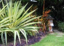 Kwikfynd Tropical Landscaping
quiera